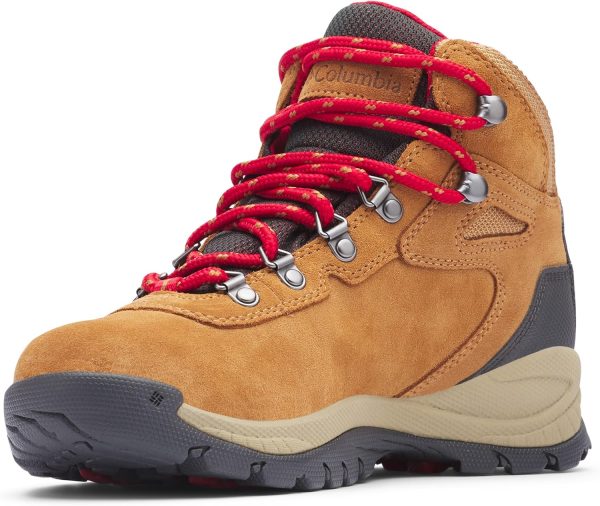 Women's Newton Ridge Plus Waterproof Amped Hiking Boot